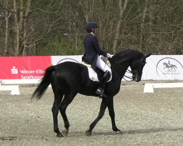 Reitturnier Elmlohe 2023