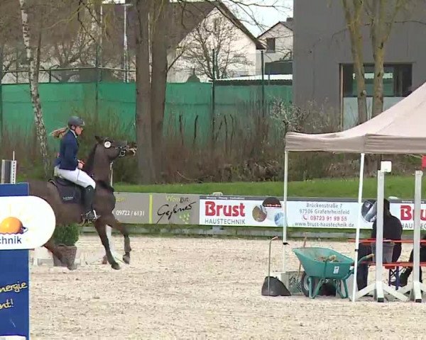 Reitturnier Grafenrheinfeld/Ufr. 2023