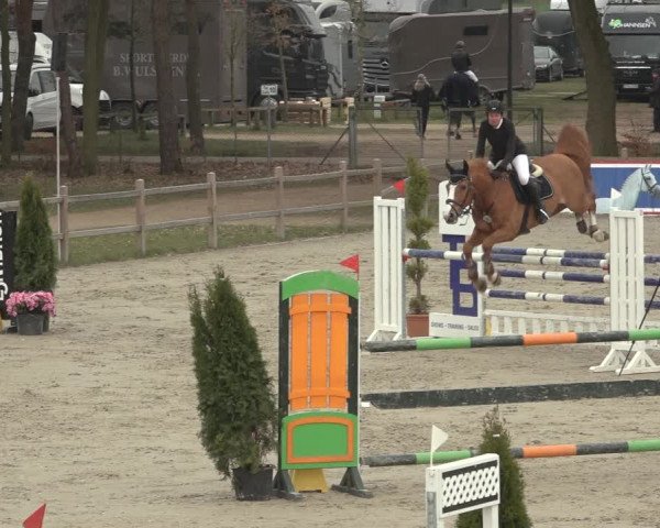 Reitturnier Westergellersen 2023