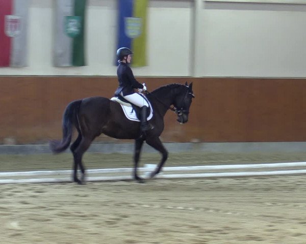 Reitturnier Weikersdorf 2023