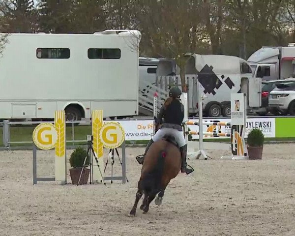Reitturnier Grafenrheinfeld/Ufr. 2023