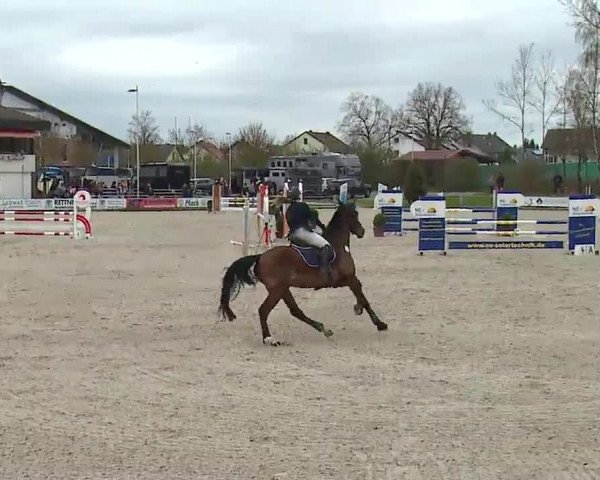 Reitturnier Grafenrheinfeld/Ufr. 2023