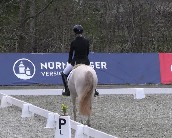 Reitturnier Elmlohe 2023