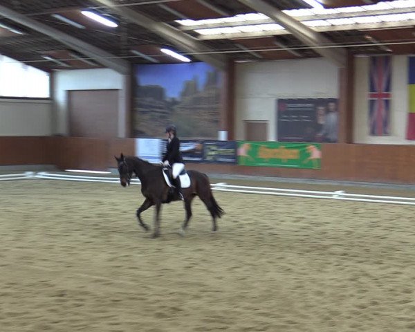 Reitturnier Weikersdorf 2023