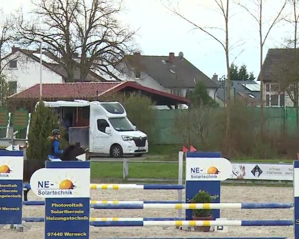 Reitturnier Grafenrheinfeld/Ufr. 2023