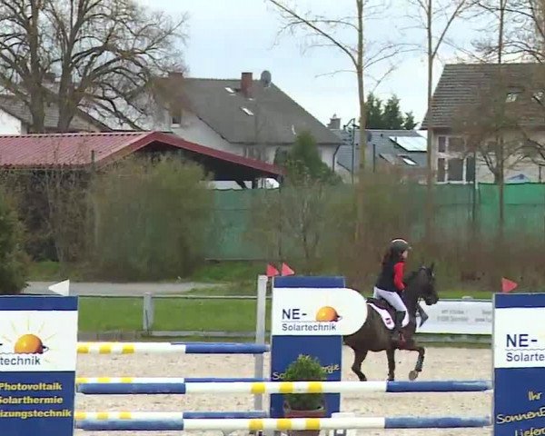 Reitturnier Grafenrheinfeld/Ufr. 2023