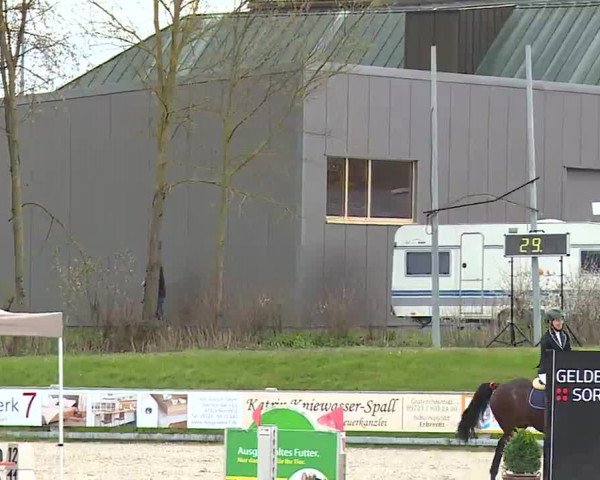 Reitturnier Grafenrheinfeld/Ufr. 2023