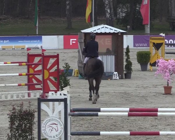 Reitturnier Westergellersen 2023
