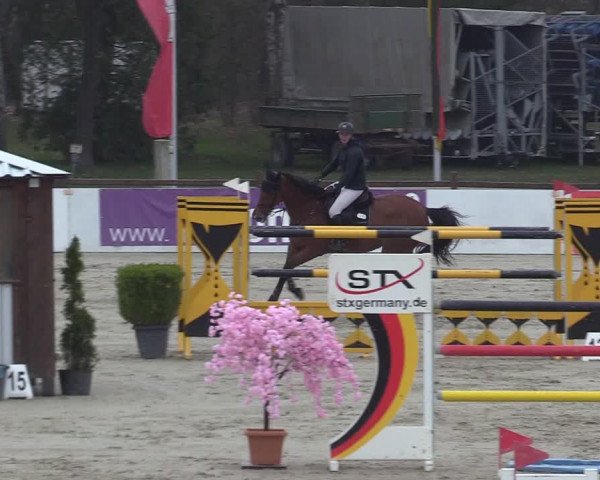 Reitturnier Westergellersen 2023