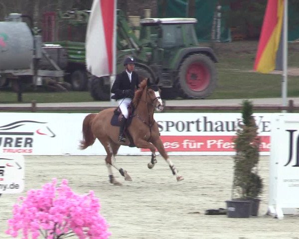 Reitturnier Westergellersen 2023