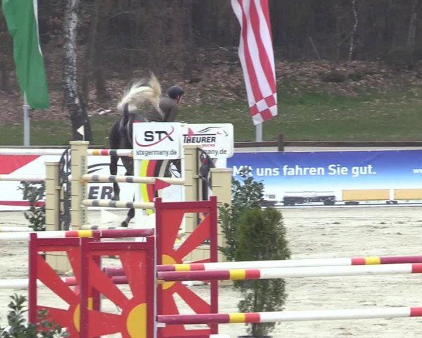 Reitturnier Westergellersen 2023