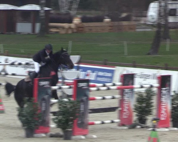 Reitturnier Westergellersen 2023