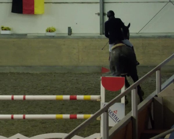 Reitturnier Waghäusel-Wiesental 2023