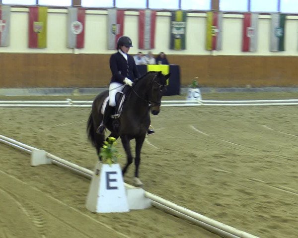 Reitturnier Weikersdorf 2023