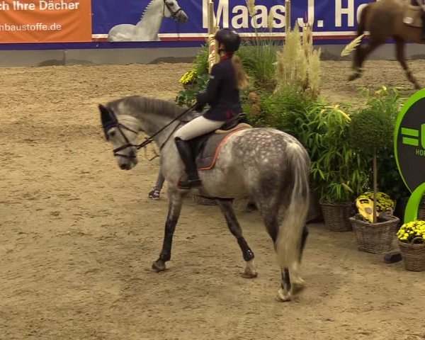 FEI Reitturnier Neumünster (GER) 2021