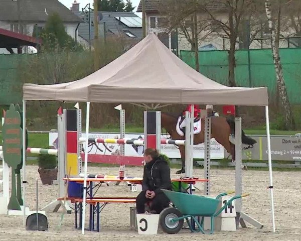 Reitturnier Grafenrheinfeld/Ufr. 2023