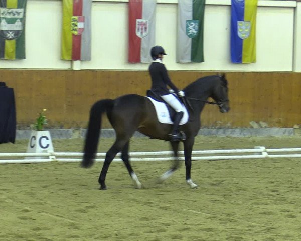 Reitturnier Weikersdorf 2023