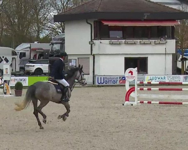 Reitturnier Grafenrheinfeld/Ufr. 2023