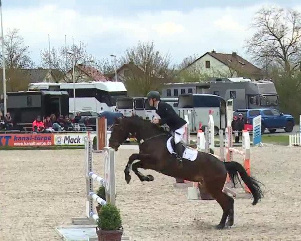 Reitturnier Grafenrheinfeld/Ufr. 2023