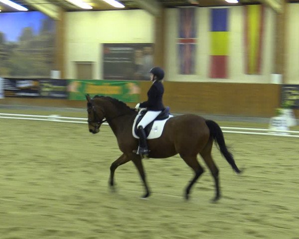 Reitturnier Weikersdorf 2023