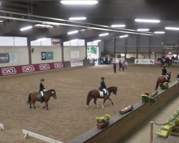 Reitturnier Heilbronn 2021