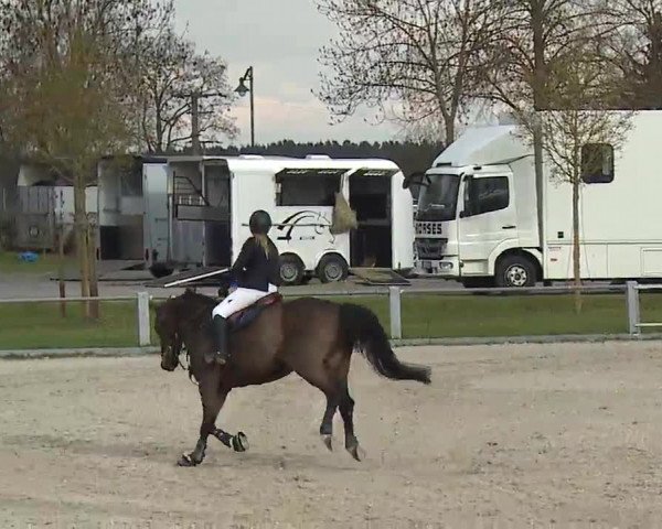 Reitturnier Grafenrheinfeld/Ufr. 2023