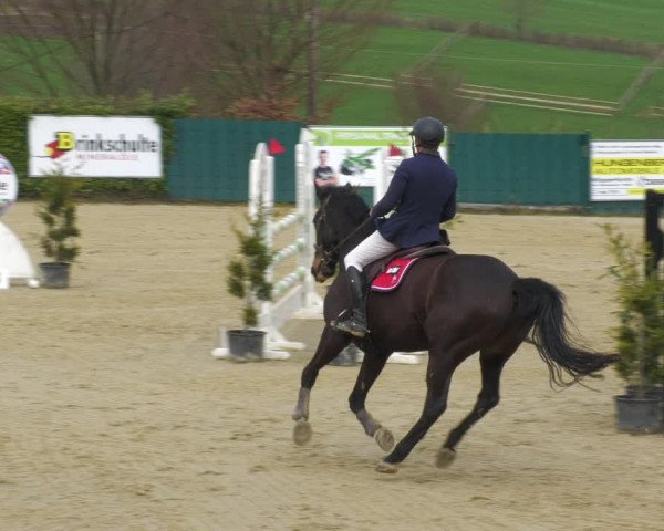 Reitturnier Lindlar-Süttenbach 2023