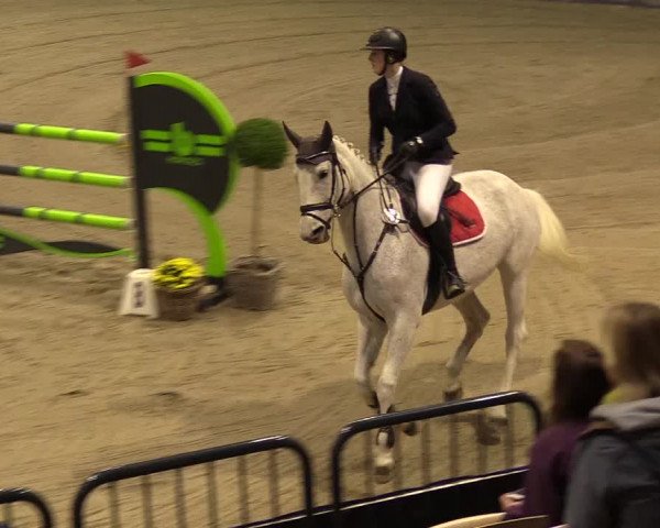 FEI Reitturnier Neumünster (GER) 2021