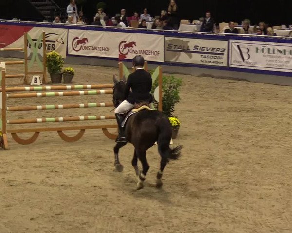 FEI Reitturnier Neumünster (GER) 2021