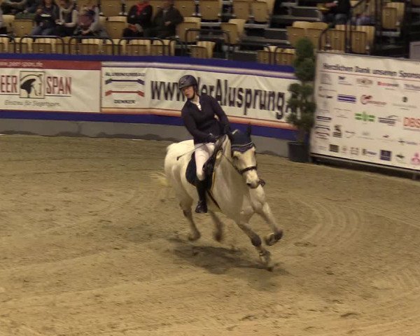FEI Reitturnier Neumünster (GER) 2021