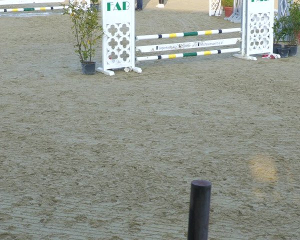 Reitturnier Lindlar-Süttenbach 2023