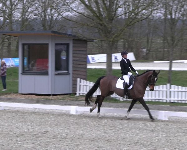 Reitturnier Elmlohe 2023