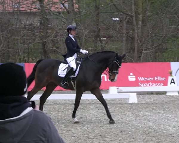 Reitturnier Elmlohe 2023