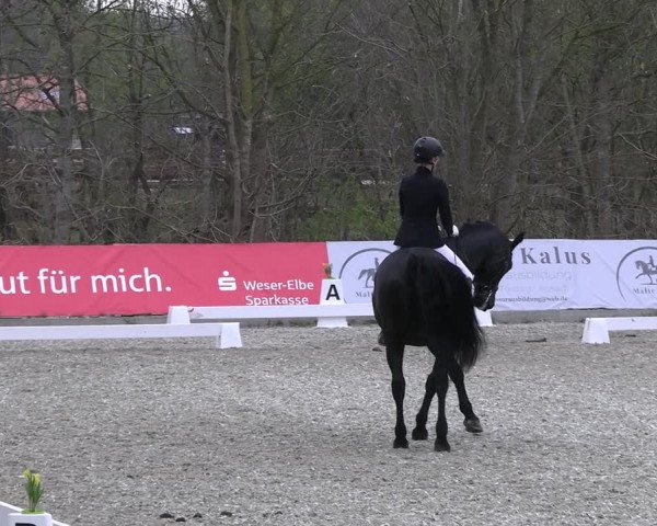 Reitturnier Elmlohe 2023