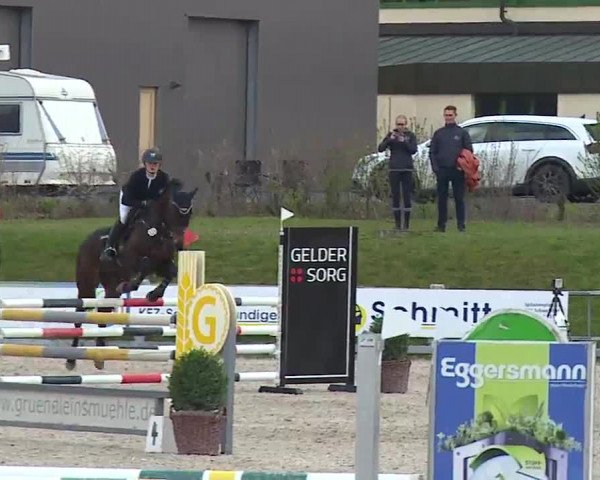 Reitturnier Grafenrheinfeld/Ufr. 2023