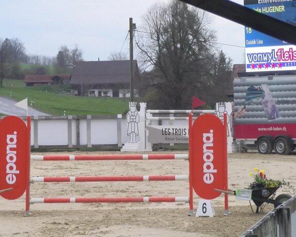 Reitturnier Wädenswil 2023