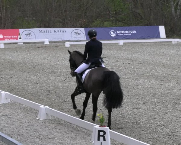 Reitturnier Elmlohe 2023
