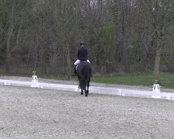 Reitturnier Elmlohe 2023