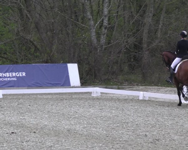 Reitturnier Elmlohe 2023