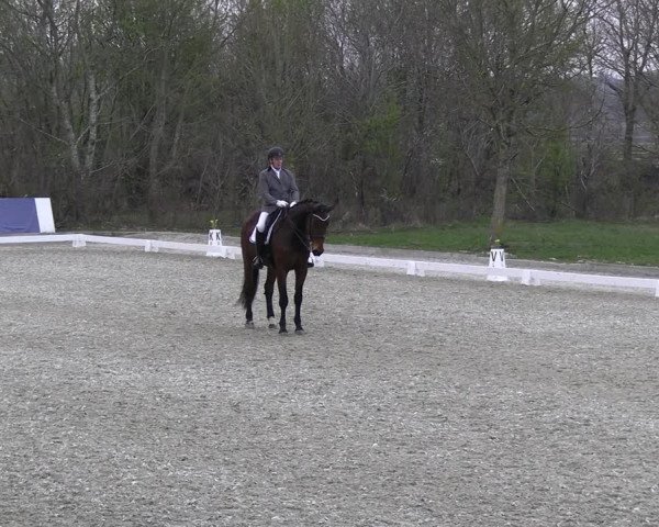 Reitturnier Elmlohe 2023