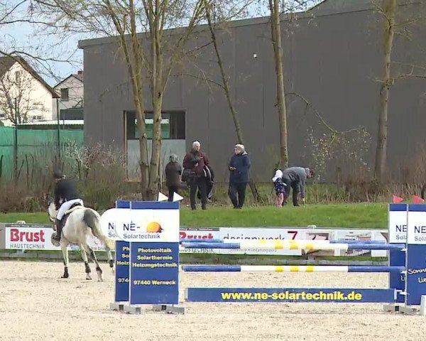 Reitturnier Grafenrheinfeld/Ufr. 2023