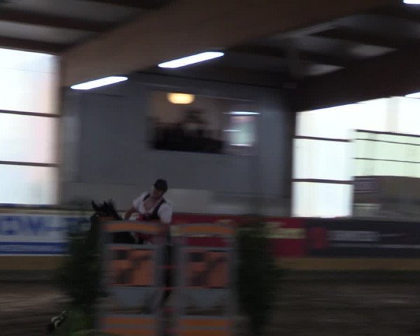 Große Jumping-Trophy Pausin 2021