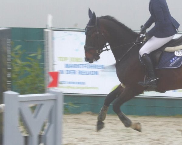 Reitturnier Lindlar-Süttenbach 2023