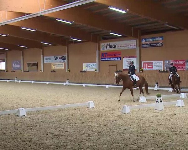 Reitturnier Grafenrheinfeld/Ufr. 2021