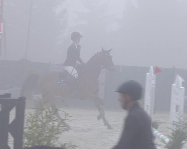 Reitturnier Lindlar-Süttenbach 2023