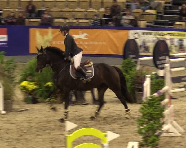 FEI Reitturnier Neumünster (GER) 2021
