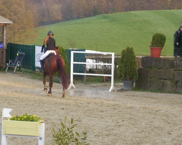 Reitturnier Lindlar-Süttenbach 2023