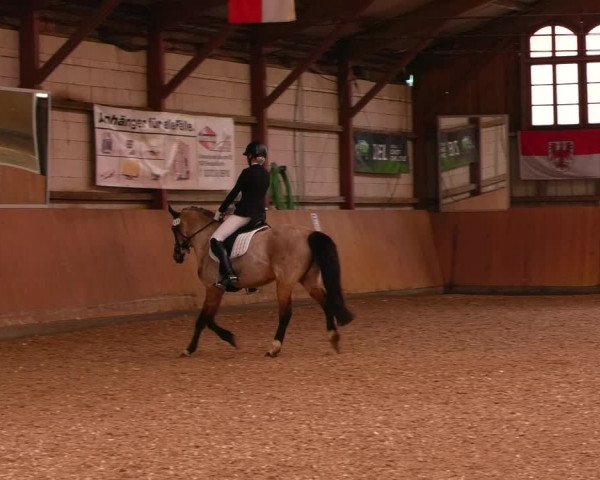 Reitturnier Elisenau 2023