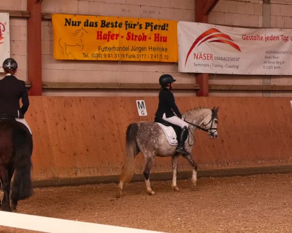 Reitturnier Elisenau 2023