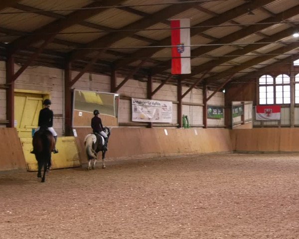 Reitturnier Elisenau 2023
